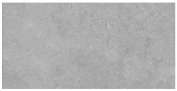 TCL Grey | Ceramic Tile | 300x600mm | Matt