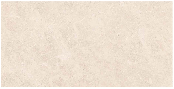 WMS Cream | Ceramic Tile | 300x600mm | Gloss